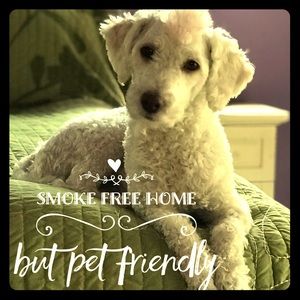 Smoke 💨 free Home 🏡